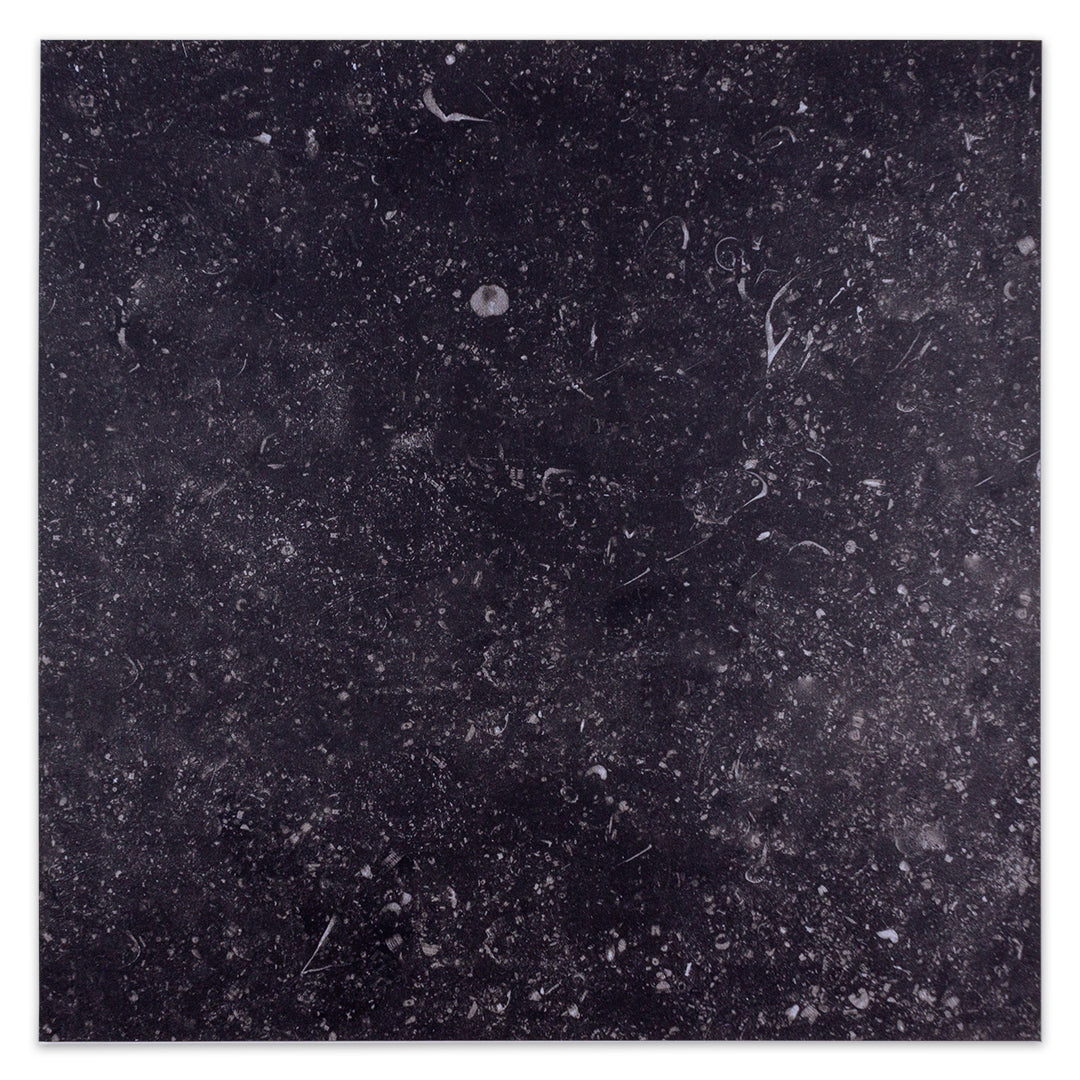 Ariel view a of a single 16x16 black marble speckled matte finish tile. 