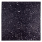 Ariel view a of a single 16x16 black marble speckled matte finish tile. 