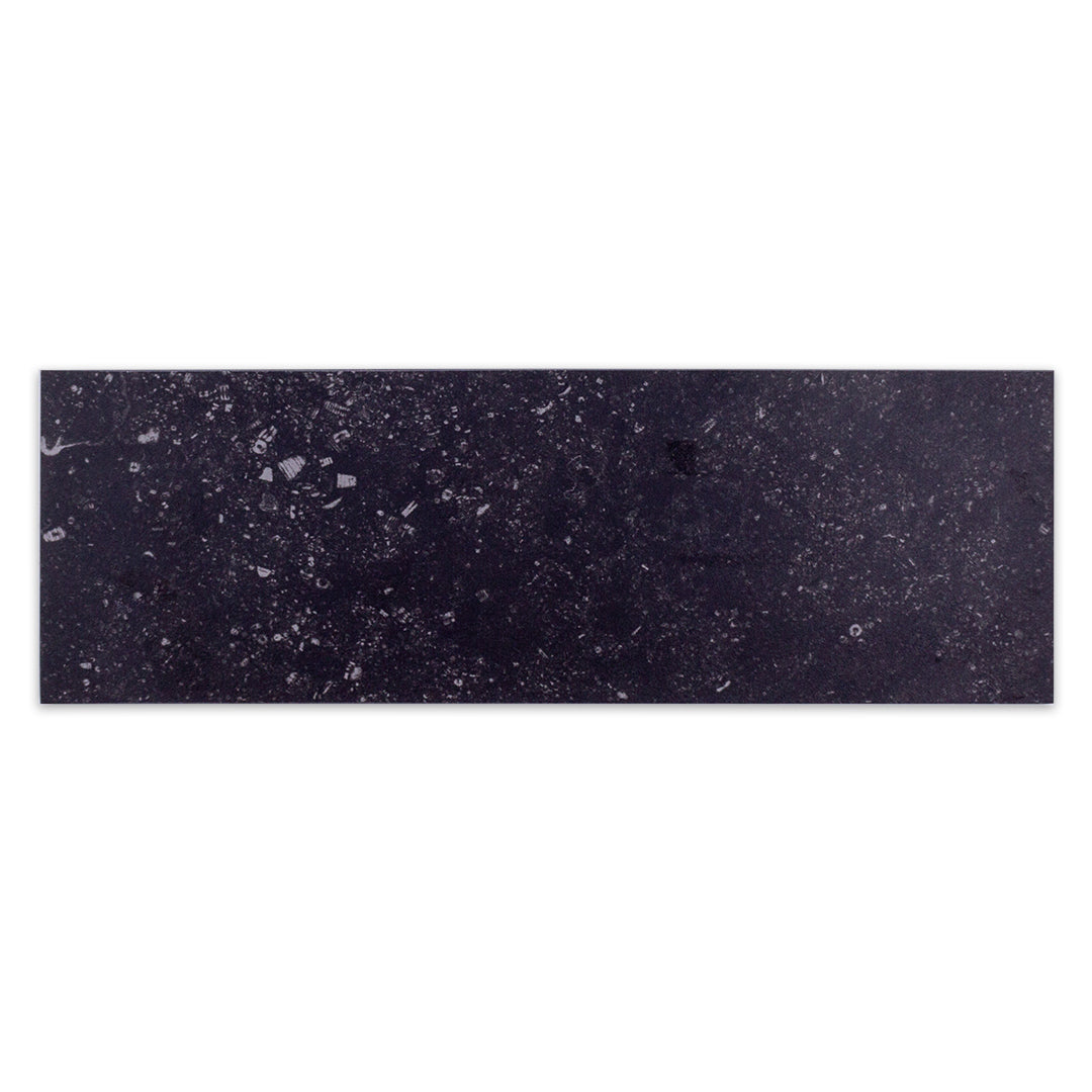 A single 5x16 stone look black tile with white speckling. 