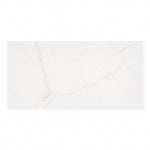 Sanctuary Bianco (12" X 24")