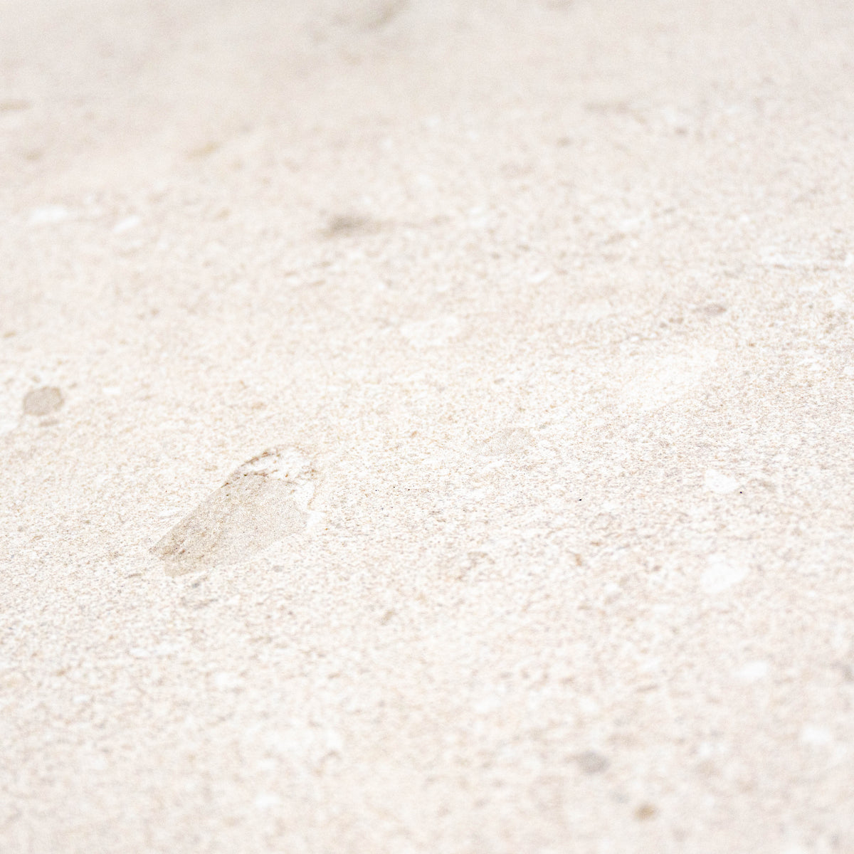 Reverie Salt (24