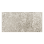 A single rectangular tile of a beige taupe stone look tile with the appearance of texture and colour variation. 