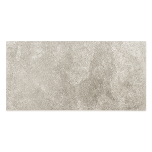 Saltstone Taupe (12" X 24")