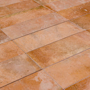 Tuscan Cotto (2.5" x 8")