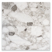 Ariel view of two 12x24 terrazzo look tiles. The tonal look of the terrazzo featuring varying shades of grey in it's matte finish.