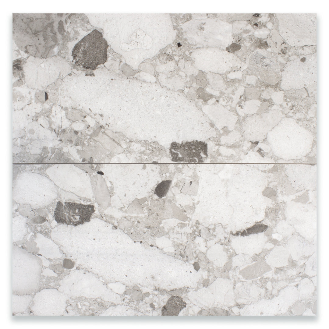 Ariel view of a two 12x24 rectangular terrazzo look tiles. The tonal look of the terrazzo featuring varying shades of grey in it's matte finish.