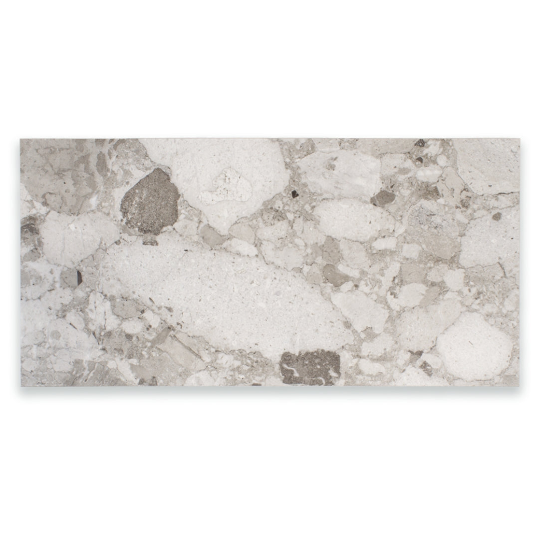 Ariel view of a single 24x48 terrazzo look tile. The tonal look of the terrazzo featuring varying shades of grey in it's matte finish.