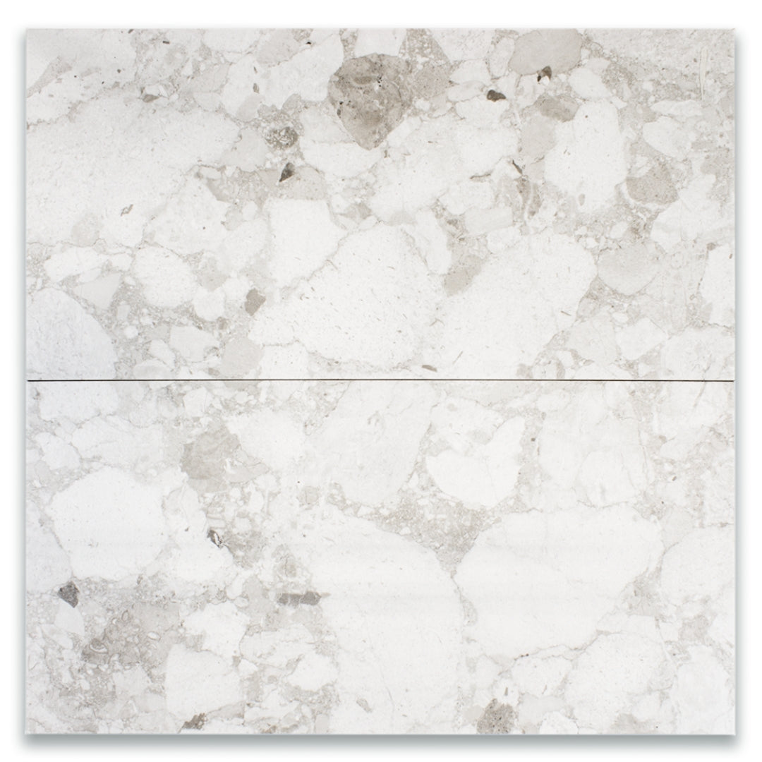 Ariel view of two 12x24 light grey Rainstone mist terrazzo look tiles. 