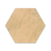 Clay Terracotta Hexagon (6" x 6") - Sample